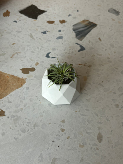 Mini pot géometrique en béton