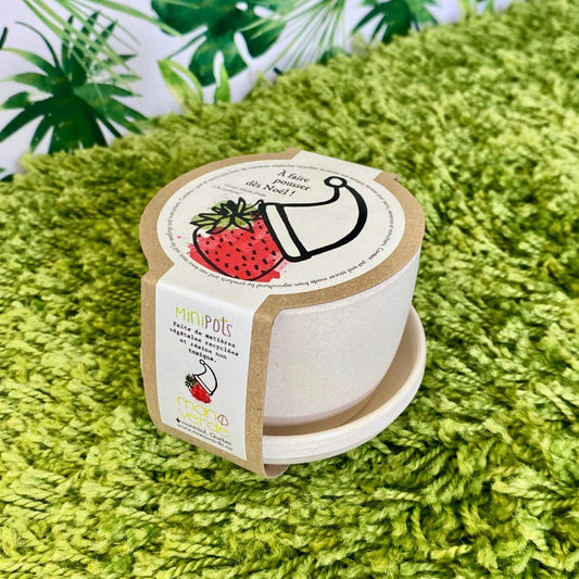 Minipot fraise alpine de Noël - fibres recyclées